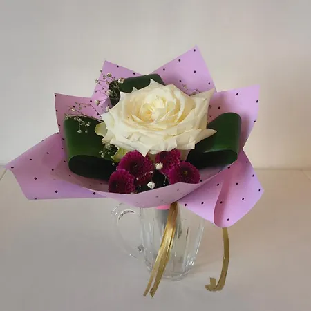 New Space 30% Off, Self Chieck-in, Netflix Daire Rzeszow