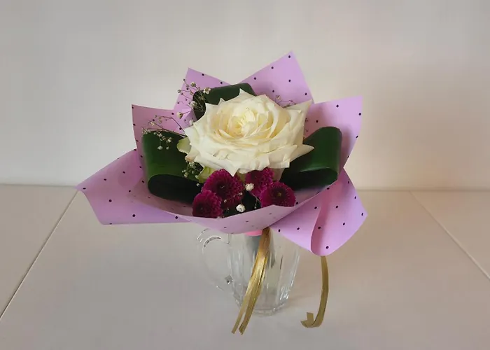 New Space 30% Off, Self Chieck-in, Netflix Daire Rzeszow